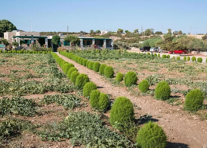 Seaside Glyfa Paros Villa Aspro Chorio